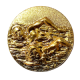 Žetoon Ujumine 25 mm kuldne
